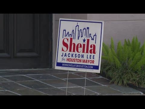 Sheila Jackson Lee's campaign chairman knocked out in brawl at Houston campaign satellite office