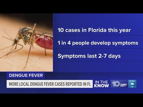 Dengue fever cases spread north to Broward County
