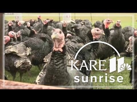 Minnesota farmers use laser technology to fight against the Avian Flu