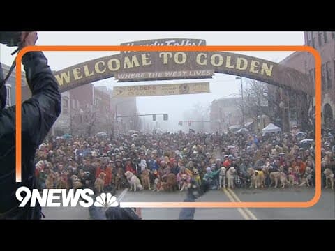 Hundreds of golden retrievers meet up in Colorado despite snow