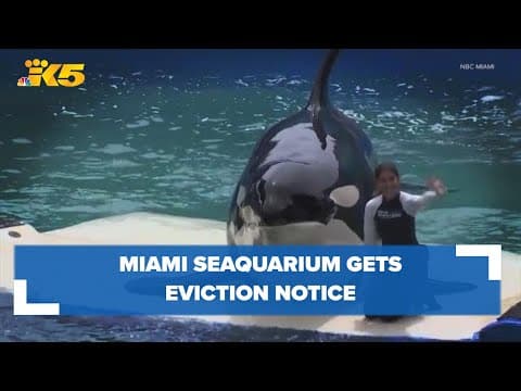 Miami Seaquarium gets eviction notice several months after death of Lolita the orca