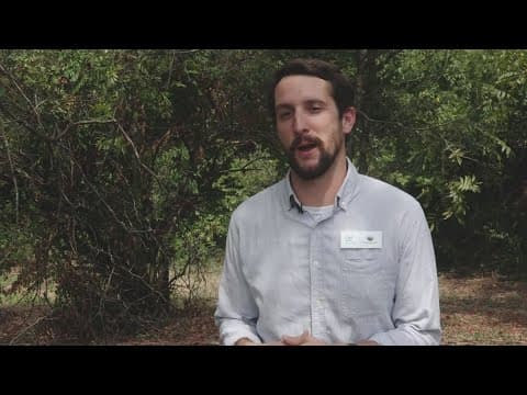 New park planned in Maryville