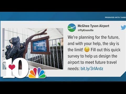 McGhee Tyson launches public survey