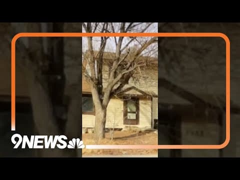 Head and hands found in freezer in western Colorado