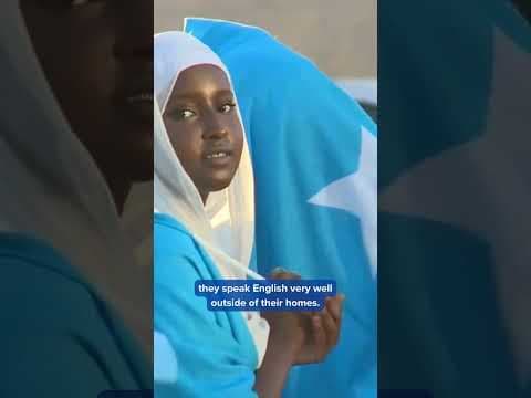 What's the most common non-English language spoken in Minnesota?