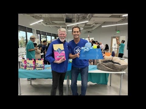 Using shelter animals to show the softer side to the corporate 'dog eat dog world'