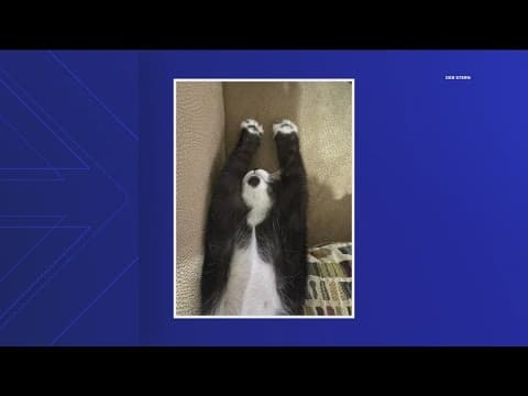 Your Good News: Jeff Bender, Joe Lonke, Deb Stern