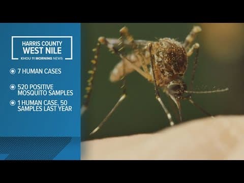 7 cases of West Nile virus confirmed in Harris County residents