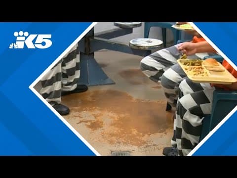 Certain Mason County criminals could have a choice: face charges or leave town