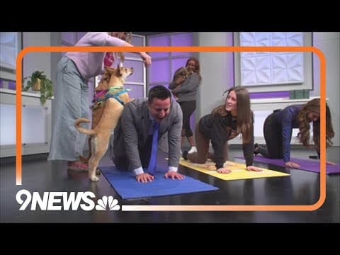 Rescue Puppy Yoga helps find pups forever homes