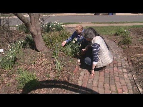 Eco-friendly spring gardening tips
