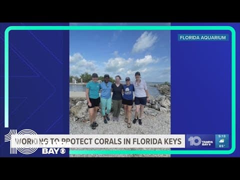 The Florida Aquarium helps rescue 5,000 corals in the Florida Keys