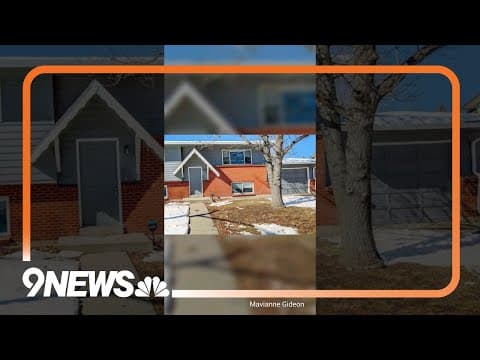 Tree disappears from a front yard in Colorado