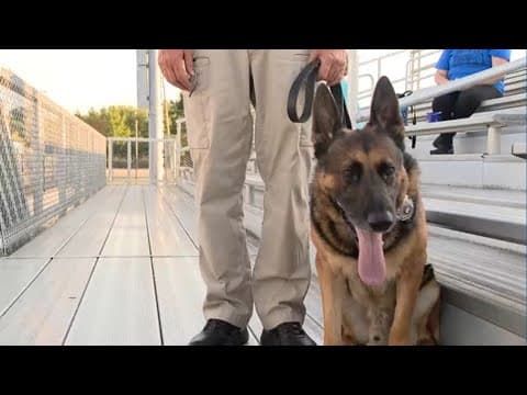 Teams showcase skills at Zionsville K-9 demonstration