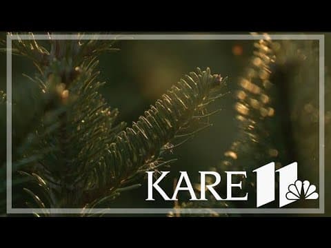 Some Christmas tree farms open more than a week early due to demand
