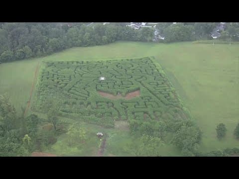 Corn maze pay tribute to Ovechkin