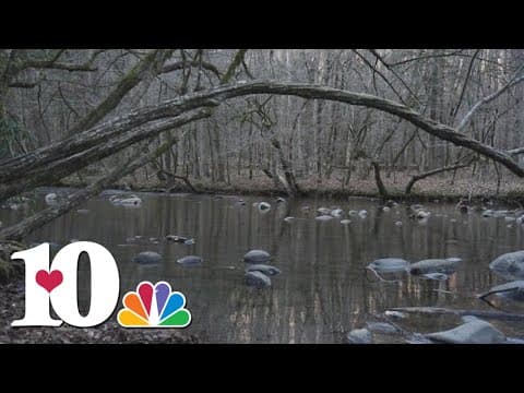 Nature Sounds: Gatlinburg Trail in the Great Smoky Mountains