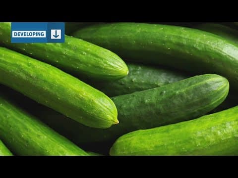 More people sickened by cucumber recall