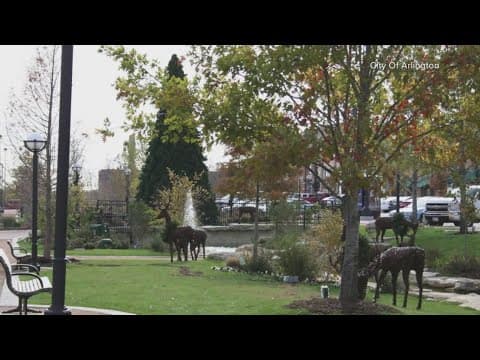 Arlington to continue massive rennovation of Arlington Shopping Center