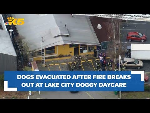 Fire breaks out at Lake City doggy daycare facility