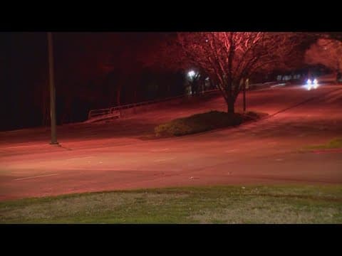 6-year-old child killed in hit-and-run in North Texas, police say