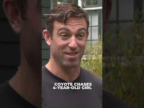 Coyote chases child in Portland backyard
