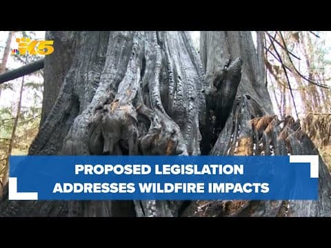 Proposed legislation addresses wildfire impacts in western Washington