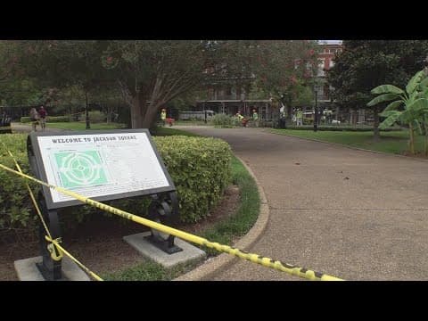 Teen crushed by tree in Jackson Square has serious brain, spinal injuries