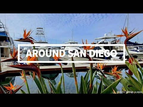 Around San Diego | December 30