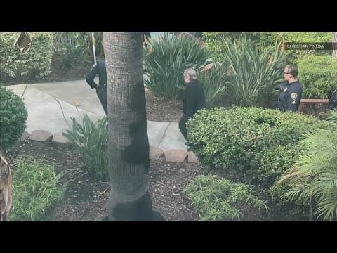 76-year-old woman arrested in deadly hit-and-run