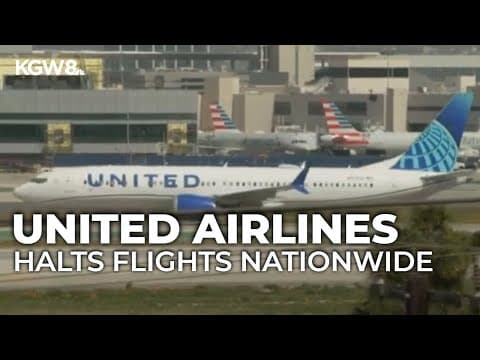 United Airlines halts flights nationwide due to tech issue, later resumes service