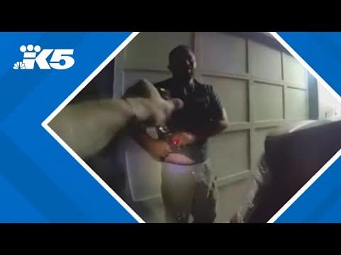 Law enforcement analyst reacts to volatile DUI arrest