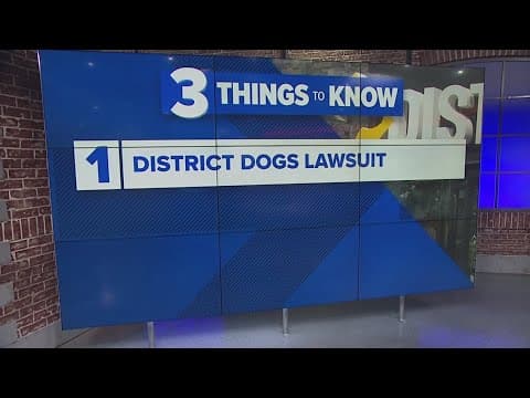 District Dogs' victims sue company for lost pets