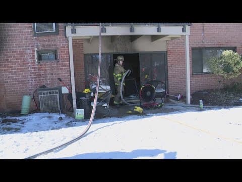 Fairfax firefighters recue two dogs from an apartment fire