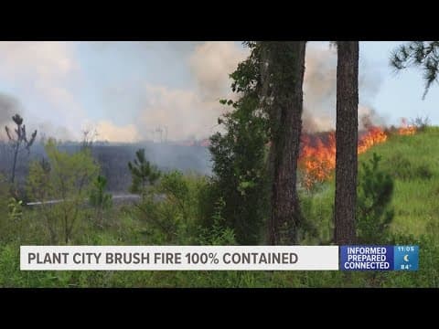 Plant City brush fire 100% contained