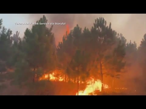 65 homes in Bastrop County, Texas evacuated as Hudson fire spreads