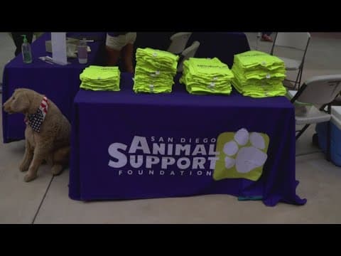 San Diego Animal Support Foundation holds its Howl-O-Ween Hounds MEGA Pet Adoption