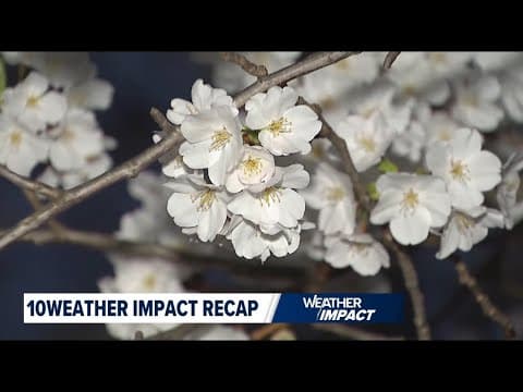 10Weather Impact Recap (April 2)