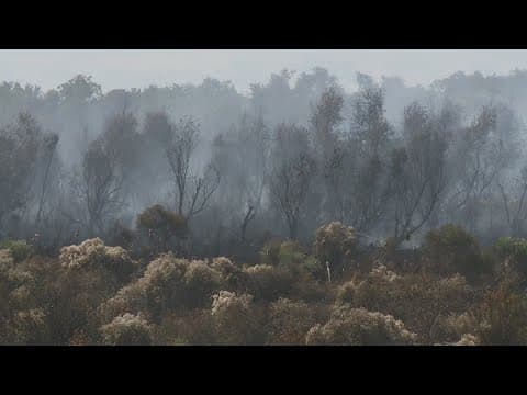 Crews fiercely fighting challenging Jean Lafitte marsh fire