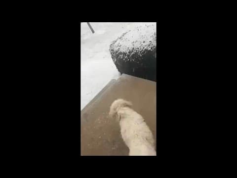 Showing off your snow photos