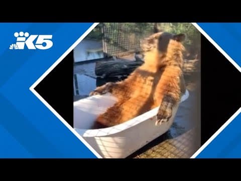 Cast iron tub a big hit at BC Wildlife Park