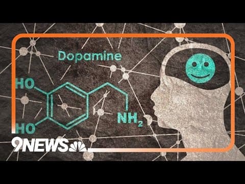 The science behind sugar addiction