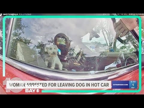 Woman charged with leaving her puppy in a hot truck for over an hour