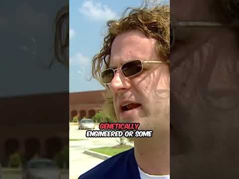 Meet Lucy, Chuck, Willie & Margaret — aka lovebugs.