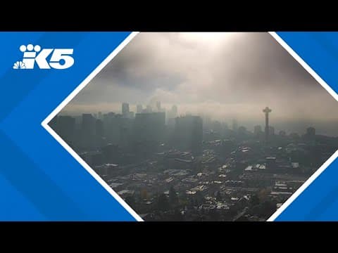 Dense fog blankets western Washington