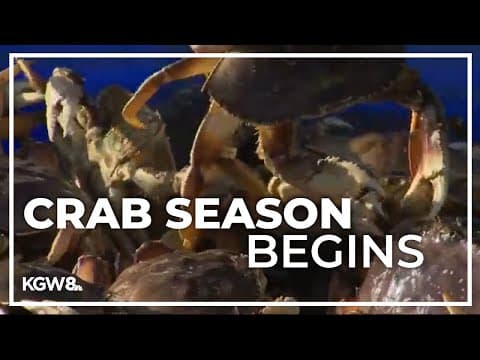 Dungeness crab season on Oregon coast kicks off after delays