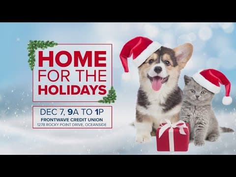Home For The Holidays | Finding loving homes for San Diego pets
