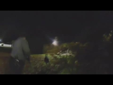 Deer takes chaotic trip through school