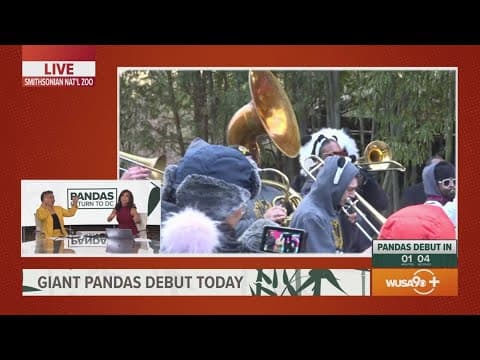 WUSA9's Allison Seymour and Annie Yu dance to the Crush Funk Brass Band at panda debut