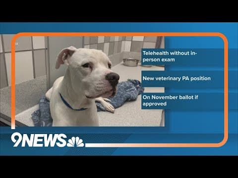 More access to veterinary care could be on November ballot